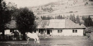 Fotografia: Kurčín
