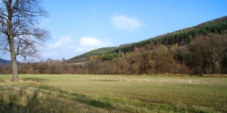 Kurčín