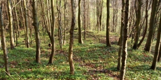 Fotografia: Kurčín