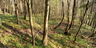 Fotografia: Kurčín