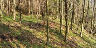 Fotografia: Kurčín