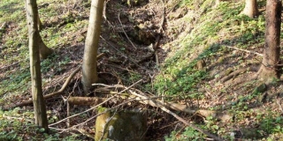 Fotografia: Kurčín