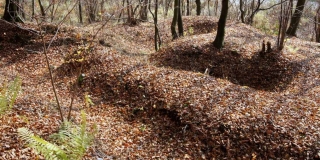 Fotografia: Kurčín