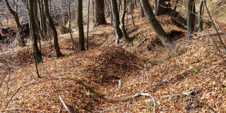 Fotografia: Kurčín