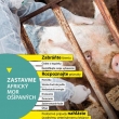 ZASTAVME AFRICKÝ MOR OŠÍPANÝCH